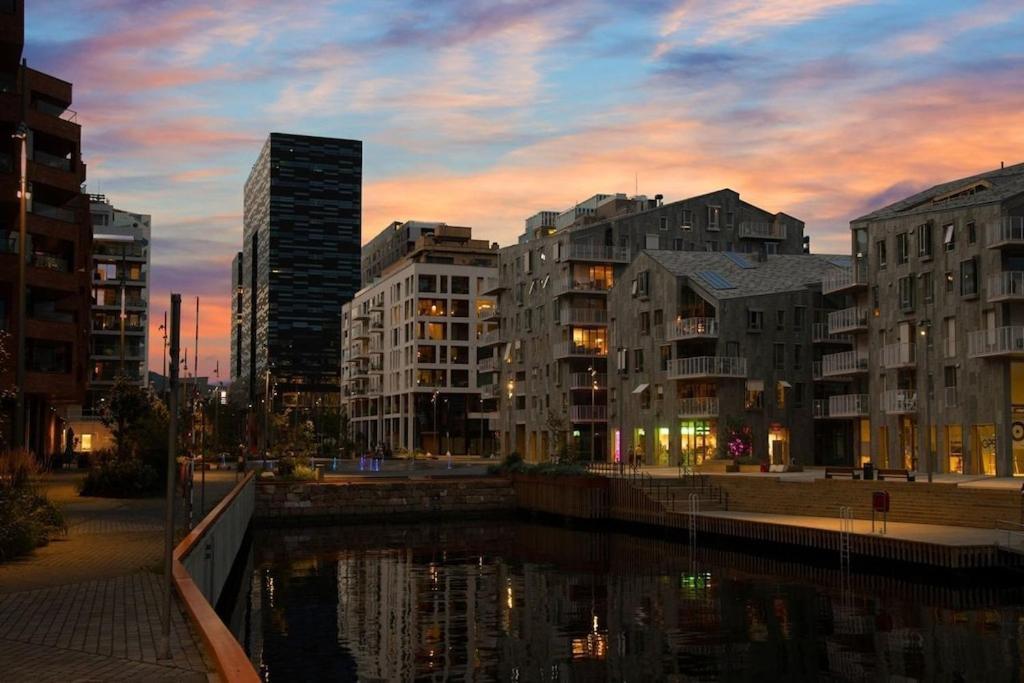 Lovely Central Apartment With Two Large Bedrooms Nearby Oslo Opera, Vis A Vis Botanical Garden Екстериор снимка