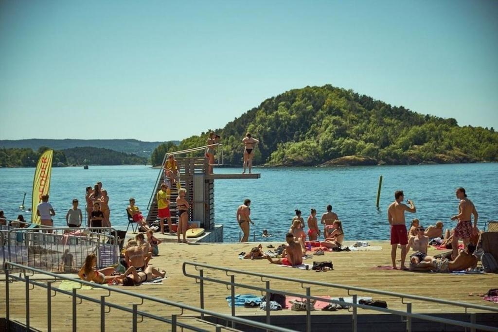 Lovely Central Apartment With Two Large Bedrooms Nearby Oslo Opera, Vis A Vis Botanical Garden Екстериор снимка